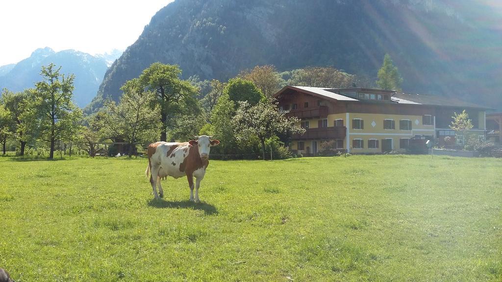 Starbauer Apartamento Golling an der Salzach Exterior foto