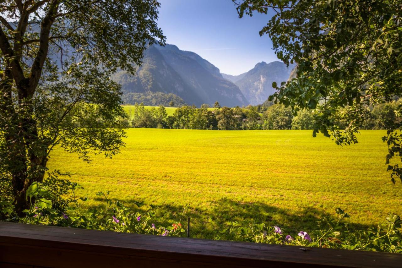 Starbauer Apartamento Golling an der Salzach Exterior foto