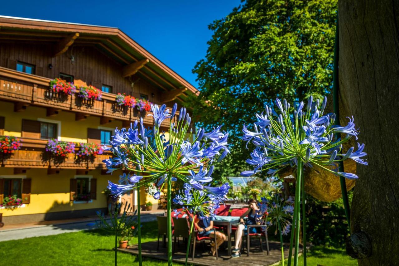 Starbauer Apartamento Golling an der Salzach Exterior foto